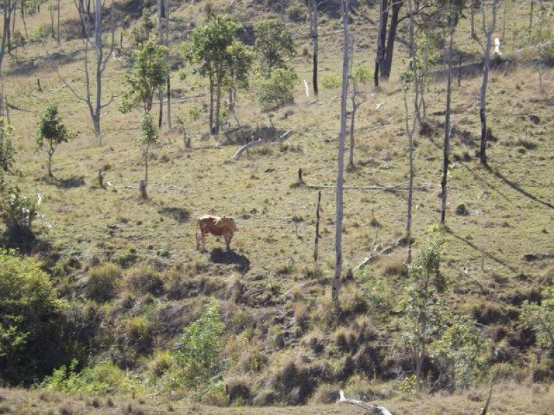 Lot 64 Planted Creek Road, Tansey QLD 4601