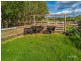 Pie Creek QLD 4570