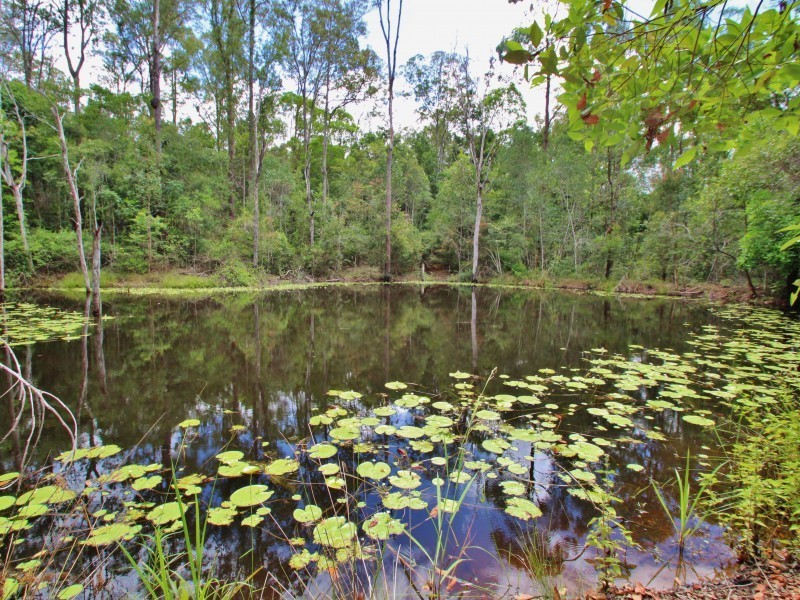 78 Herron Road, Pie Creek QLD 4570