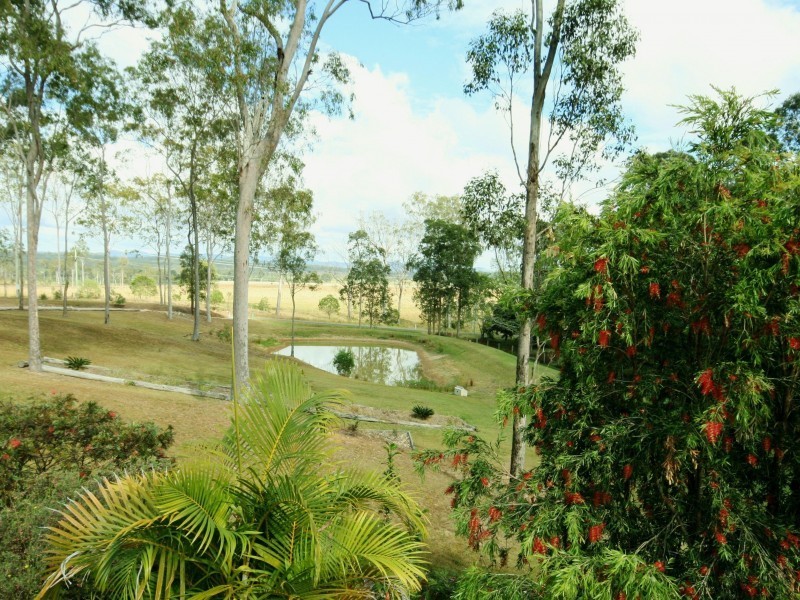 360 Curra Estate Road, Curra QLD 4570