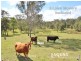 9 O’keeffe Road, Mothar Mountain QLD 4570