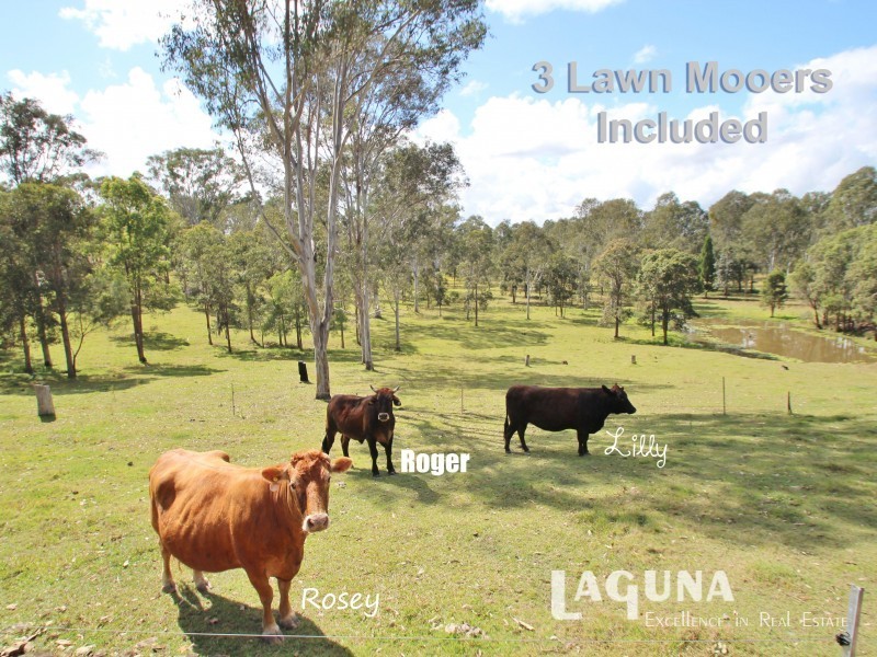 9 O’keeffe Road, Mothar Mountain QLD 4570