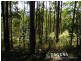 1609 Sandy Creek Road, Downsfield QLD 4570