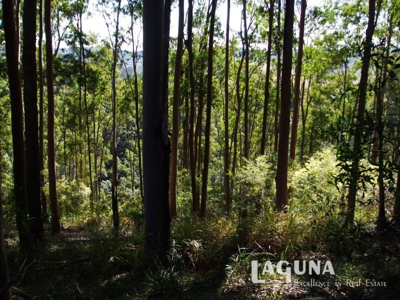1609 Sandy Creek Road, Downsfield QLD 4570