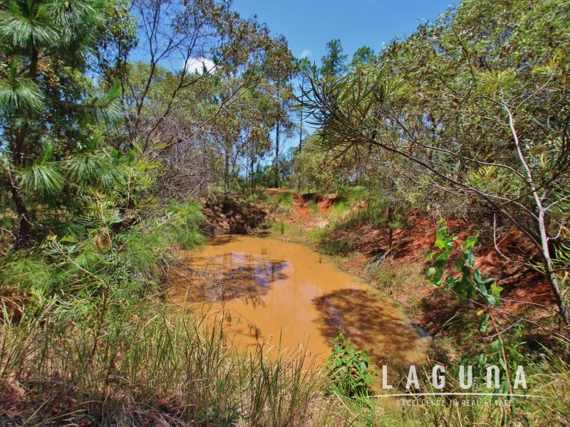 40 Arbortwelve Road, Glenwood QLD 4570