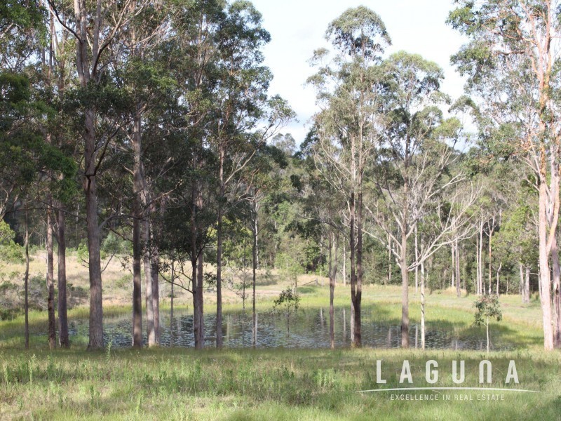 256 Nash Road, Tamaree QLD 4570