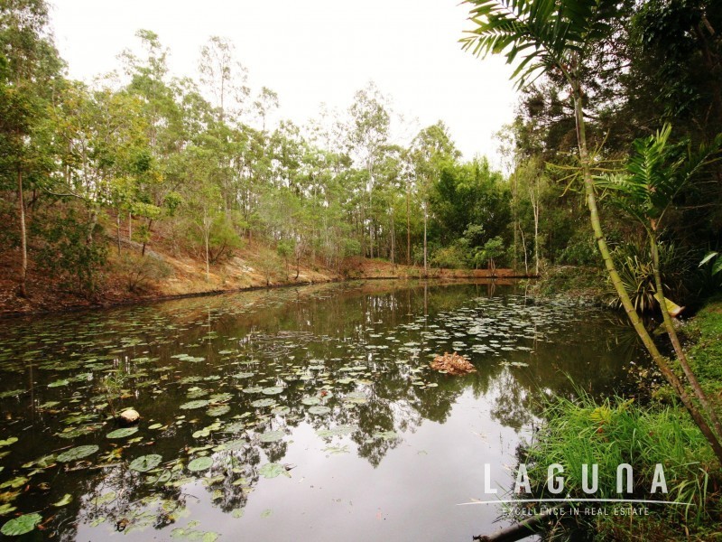 84 Lymburner Road, Pie Creek QLD 4570