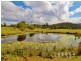 119 Boyle Road, The Palms QLD 4570