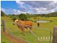 119 Boyle Road, The Palms QLD 4570