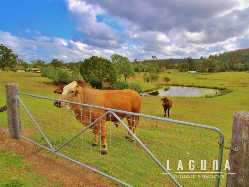 119 Boyle Road, The Palms QLD 4570