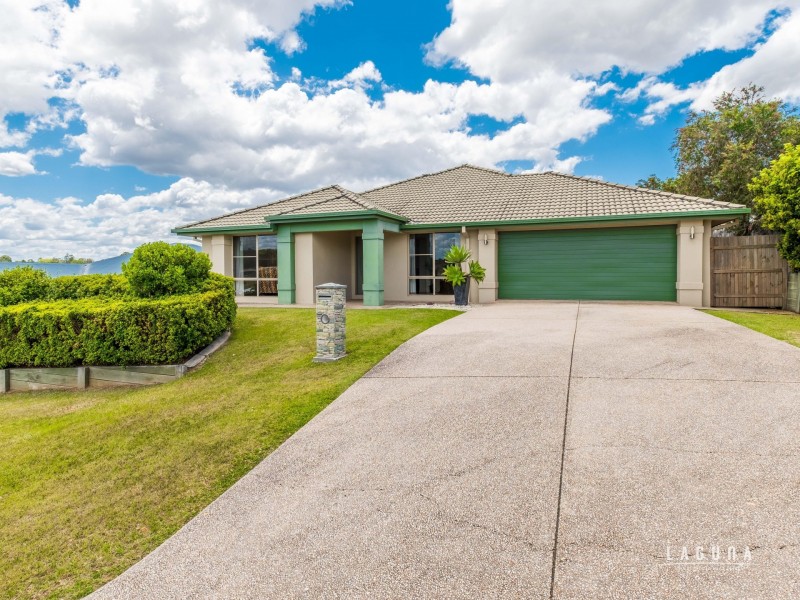 11 Directors Circuit, Jones Hill QLD 4570