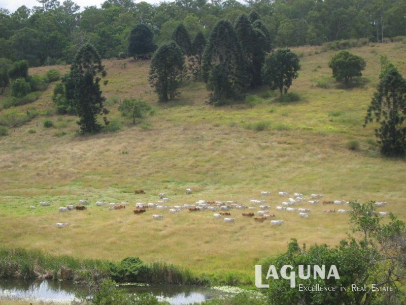 47 Collard Road, Mooloo QLD 4570