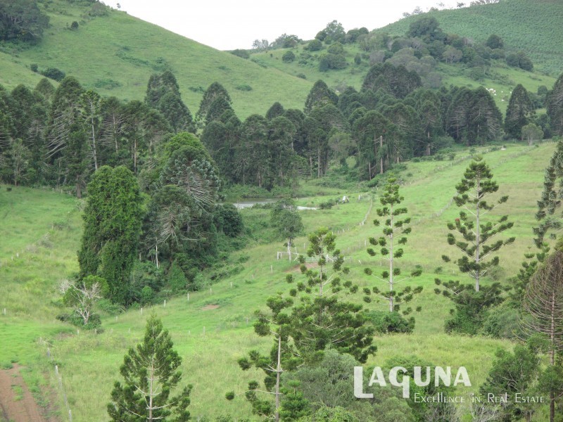 47 Collard Road, Mooloo QLD 4570