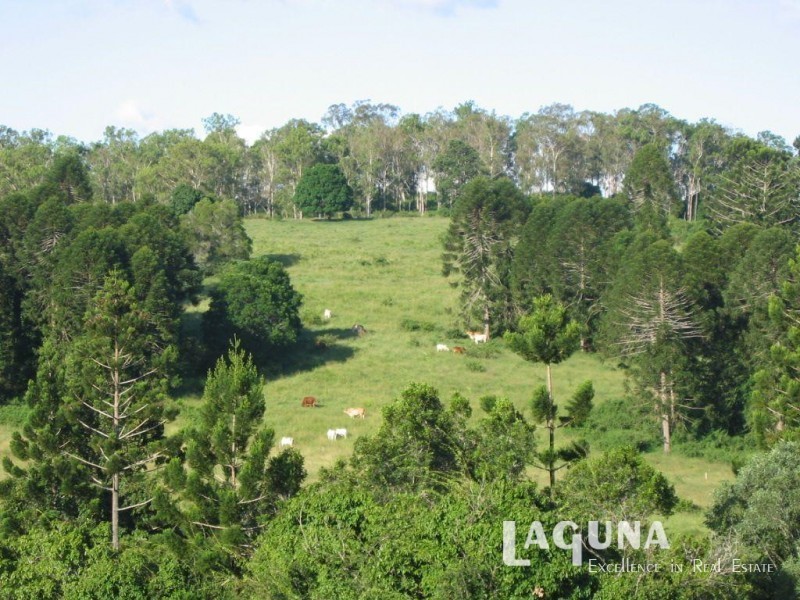 47 Collard Road, Mooloo QLD 4570