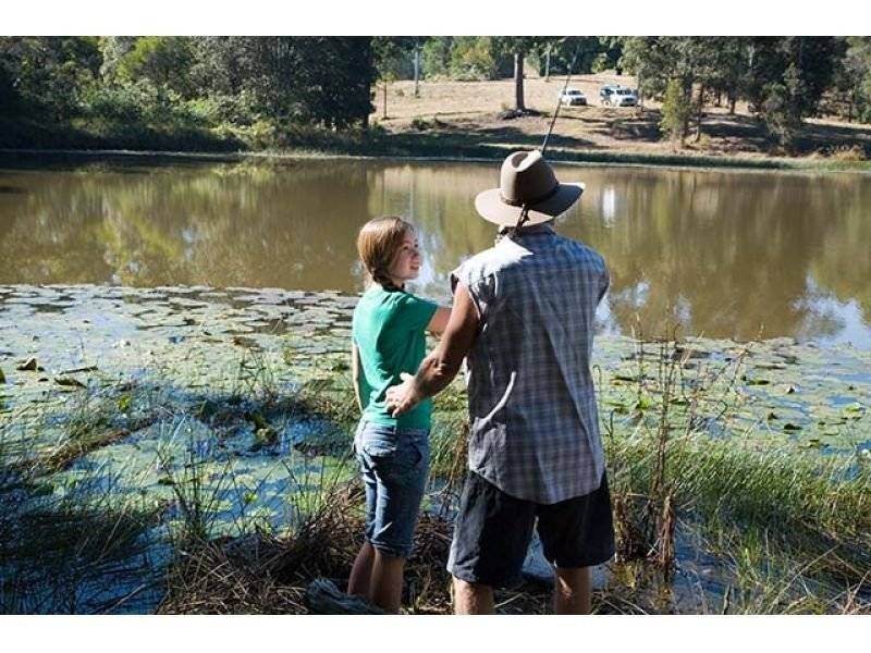 Lot L25, 84 Coles Creek Road, Cooran QLD 4569