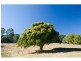 Lot L24, 84 Coles Creek Road, Cooran QLD 4569
