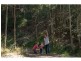 Lot L24, 84 Coles Creek Road, Cooran QLD 4569