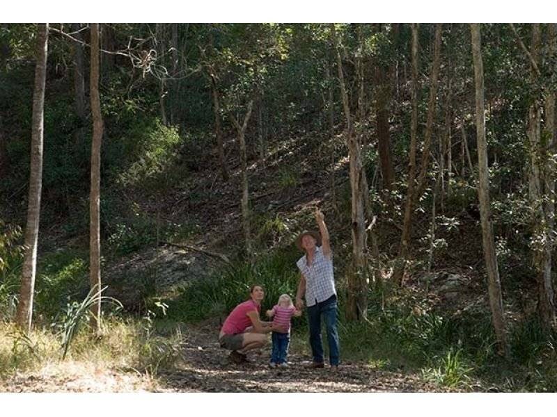 Lot L21, 84 Coles Creek Road, Cooran QLD 4569