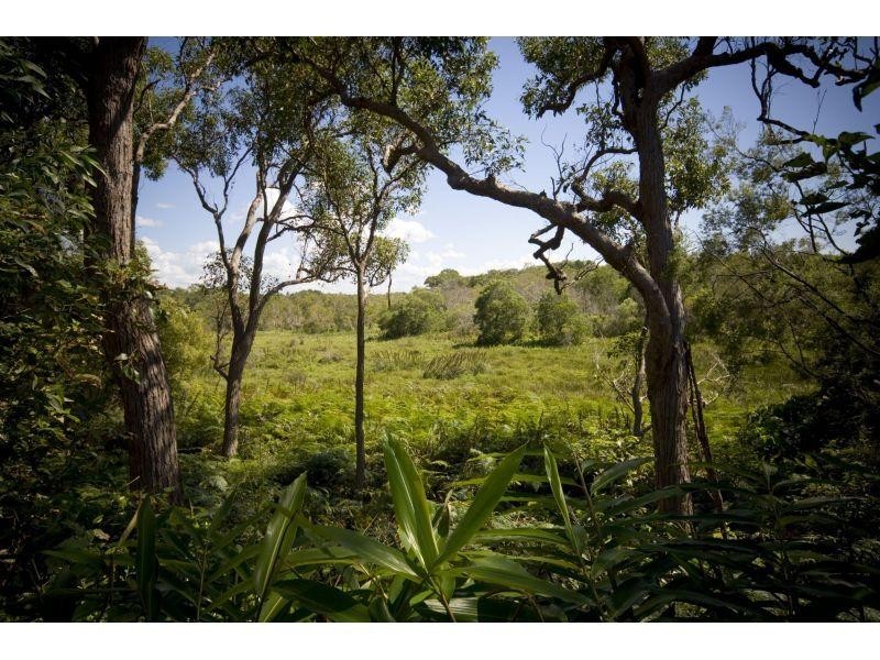 Lot 6 Banksia Avenue, Noosa Heads QLD 4567
