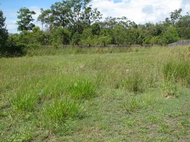 98 The Avenue, Peregian Springs QLD 4573