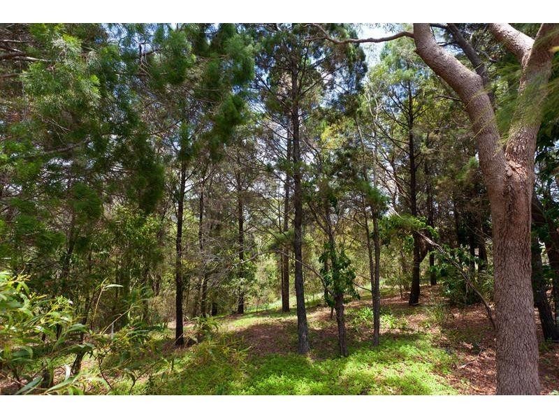 11 Banksia Avenue, Noosa Heads QLD 4567