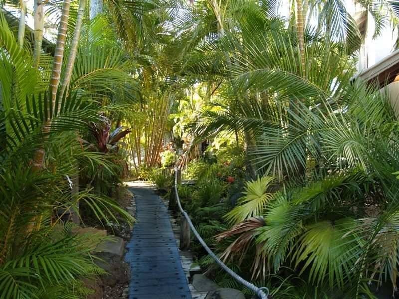 187 Gympie Terrace, Noosaville QLD 4566