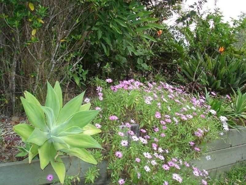 10 Jirrima Crescent, Cooroibah QLD 4565
