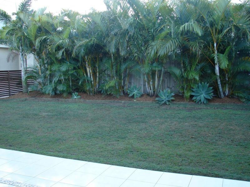 Mount Coolum QLD 4573