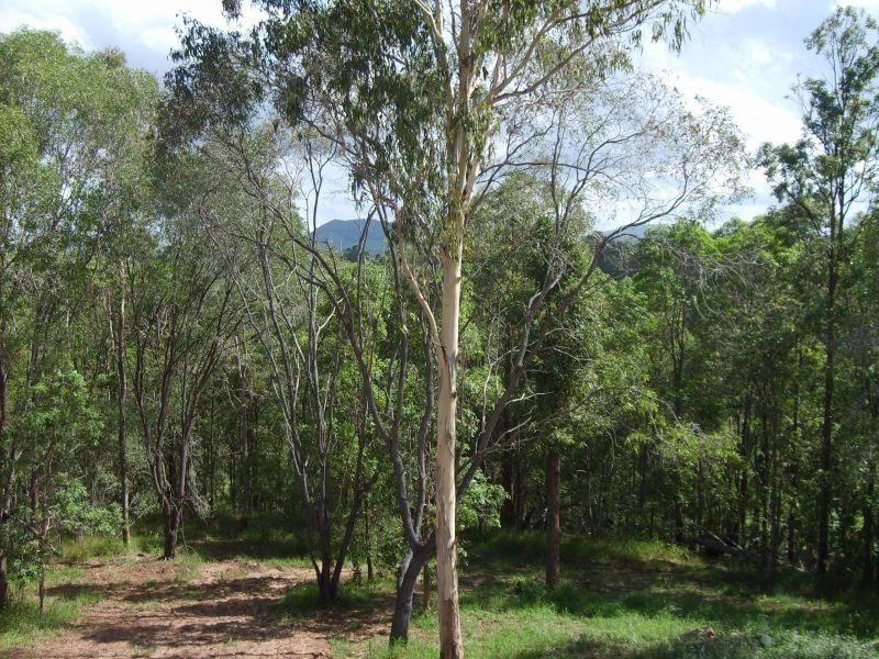 391 Jimbour Road, The Palms QLD 4570