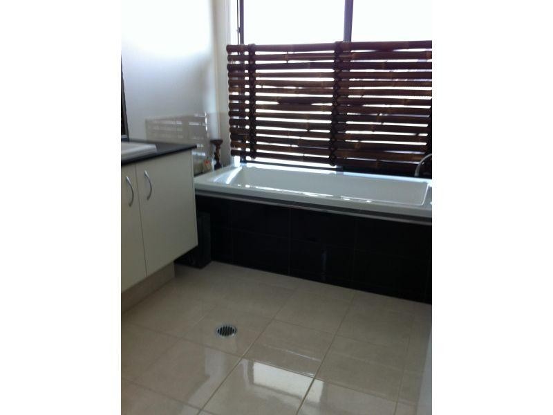 Mount Coolum QLD 4573