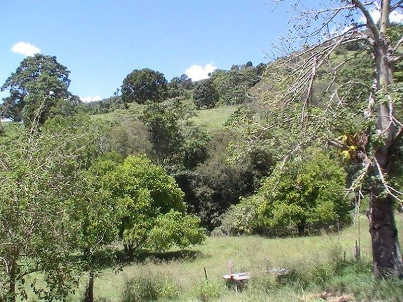 113 Coppermine Creek Road, Langshaw QLD 4570