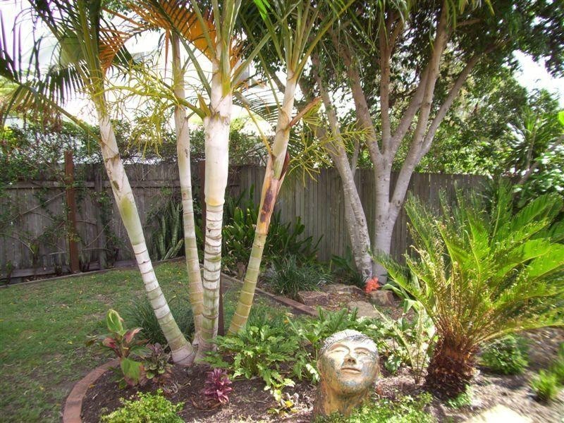 21 Dayspring Street, Sunrise Beach QLD 4567