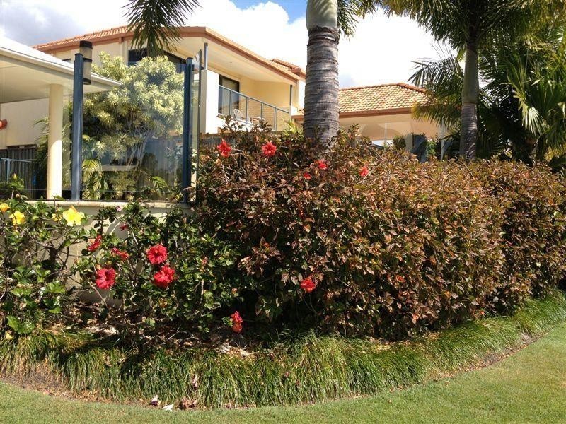 119 Shorehaven Drive, Noosaville QLD 4566