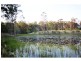 256 Nash Road, Tamaree QLD 4570