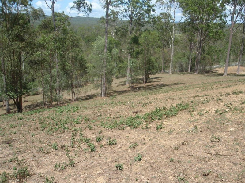 20 Tegan Road, Curra QLD 4570