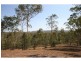 20 Tegan Road, Curra QLD 4570