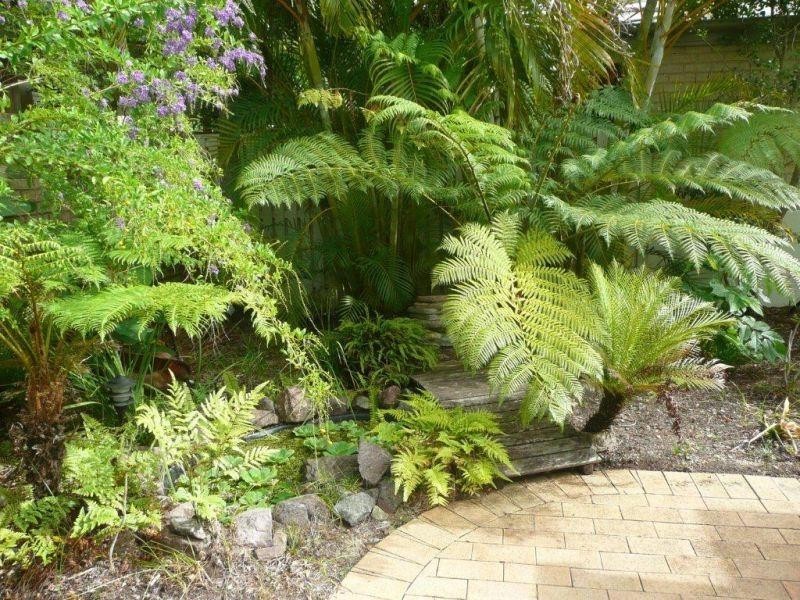 3/31 Elizabeth St, Noosaville QLD 4566