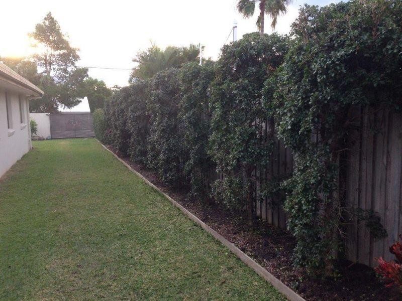 15 Muirfield Cres, Tewantin QLD 4565