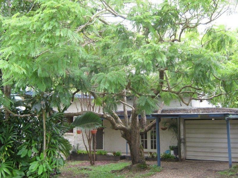 61 Hendry St, Tewantin QLD 4565