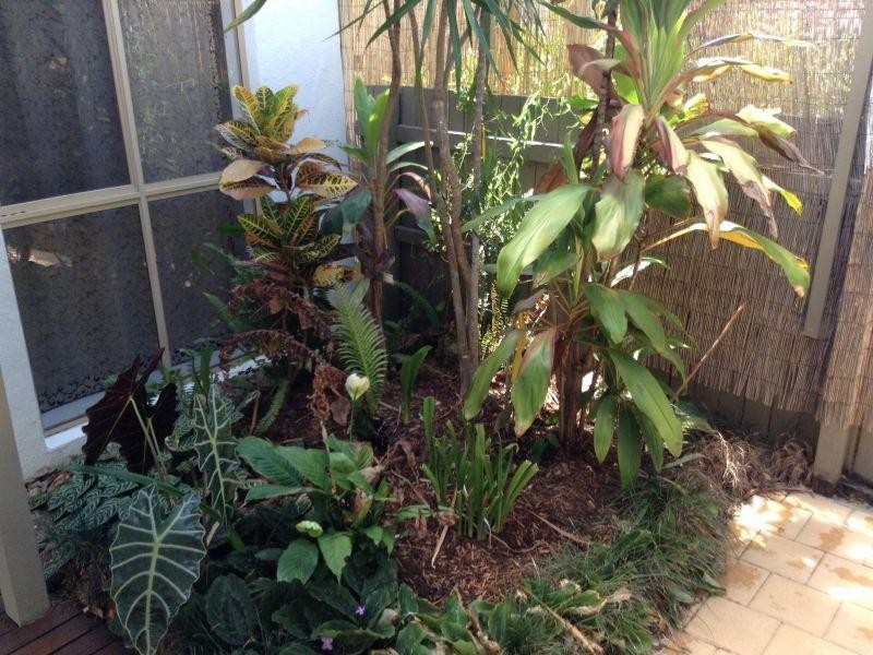 2/6 Power Crt, Mount Coolum QLD 4573