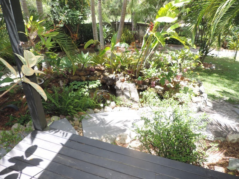 1 Cypress Close, Tewantin QLD 4565