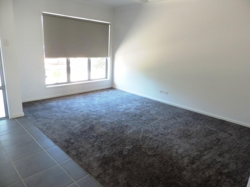 12 Smoke Bush Drive, Noosa Heads QLD 4567