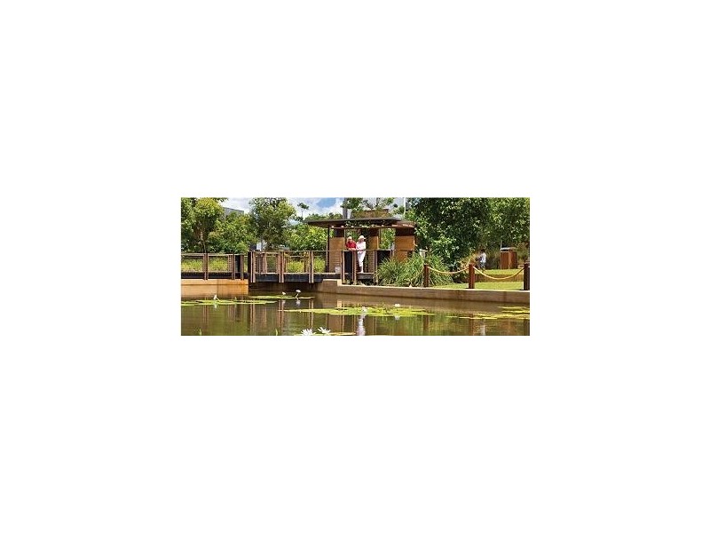 12 Smoke Bush Drive, Noosa Heads QLD 4567