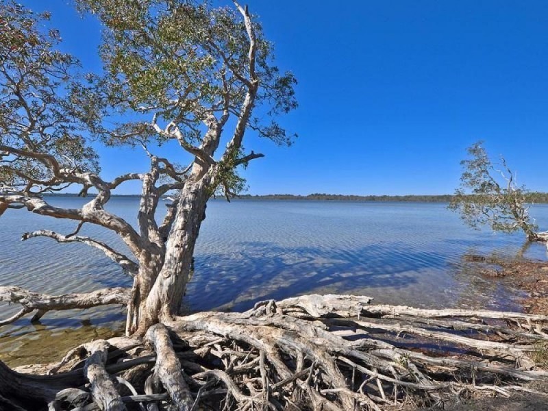 22 Paradise Drive, Noosaville QLD 4566