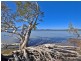 22 Paradise Drive, Noosaville QLD 4566