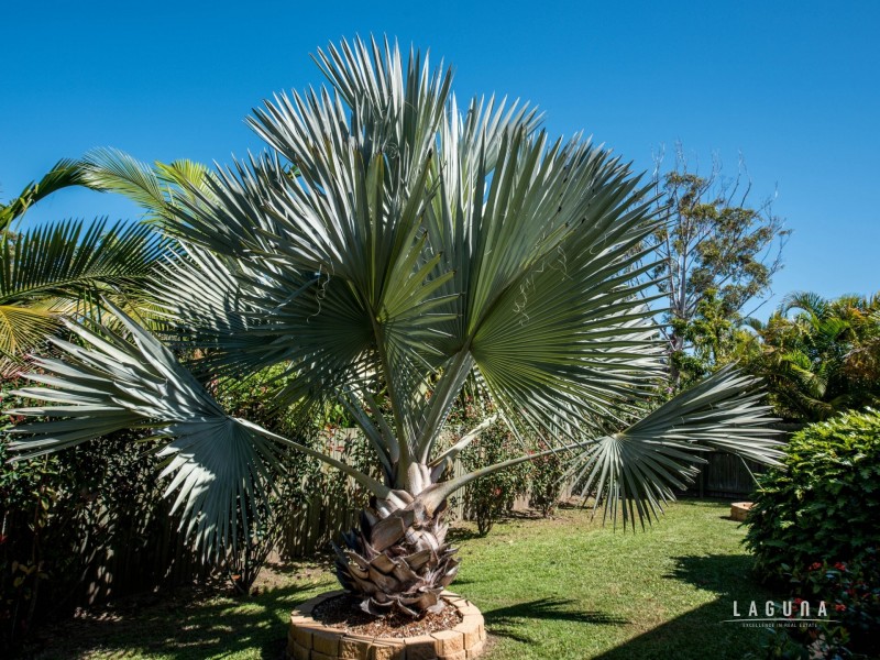 41 Furness Drive, Tewantin QLD 4565