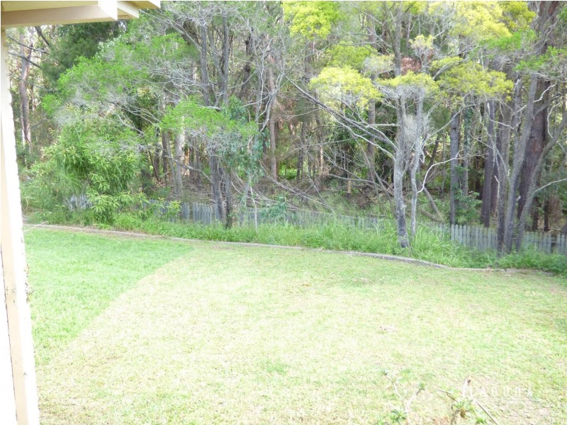 4 Satinwood Close, Noosaville QLD 4566