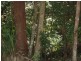 21 Kimberley Court, Doonan QLD 4562