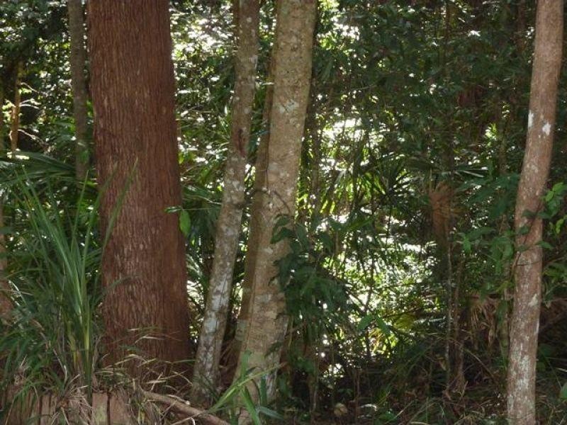 21 Kimberley Court, Doonan QLD 4562