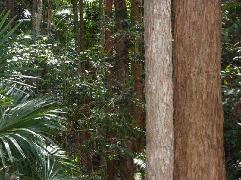 21 Kimberley Court, Doonan QLD 4562